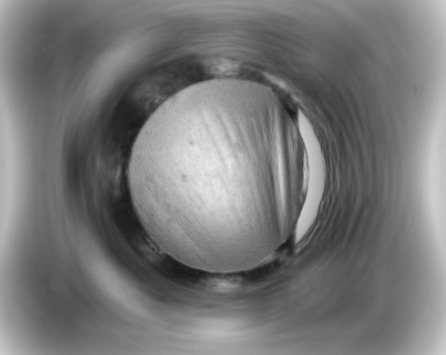 X0000084560525200703161706