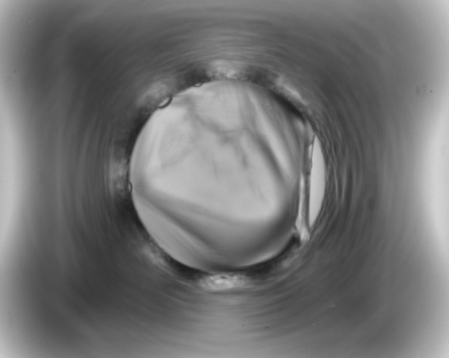 X0000084560526200703161706