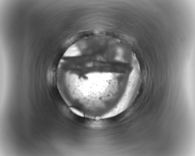 X0000084560527200703161706