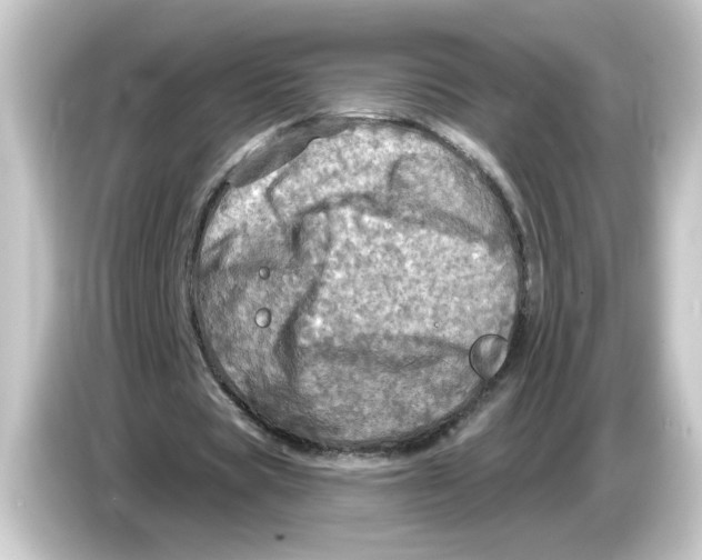 X0000084560529200703161706