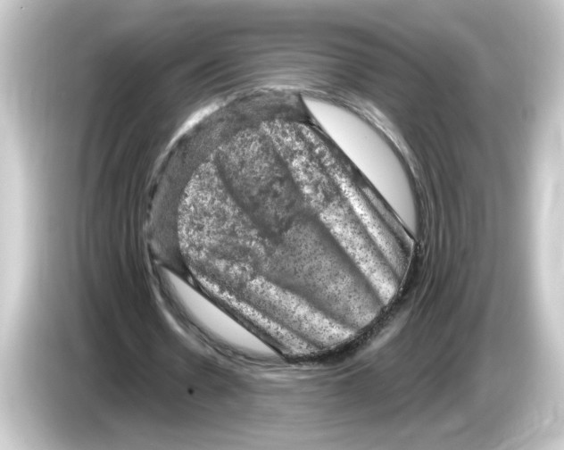 X0000084560530200703161706