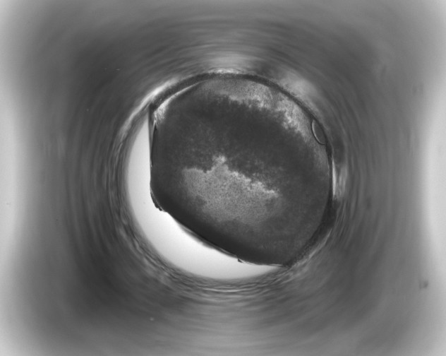 X0000084560531200703161706