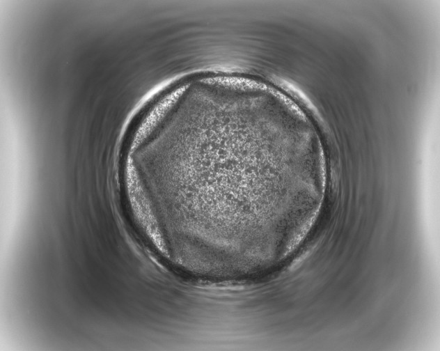 X0000084560532200703161706