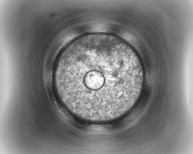 X0000084560534200703161706