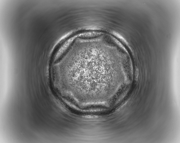 X0000084560535200703161706