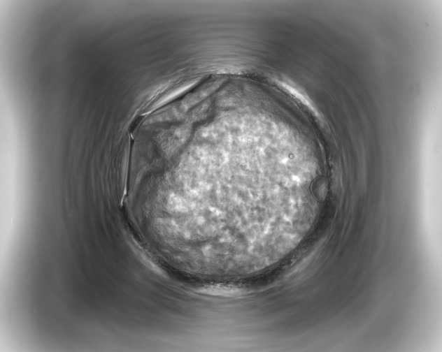 X0000084560537200703161706