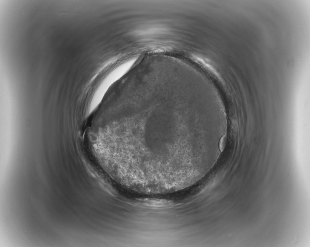 X0000084560539200703161706