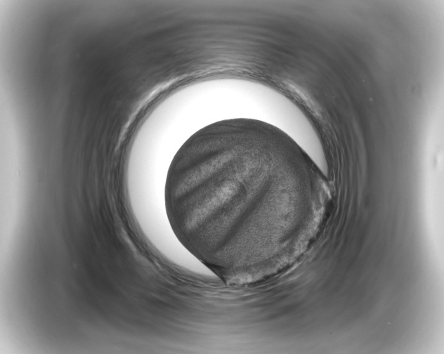 X0000084560540200703161706