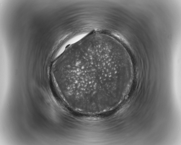 X0000084560542200703161706