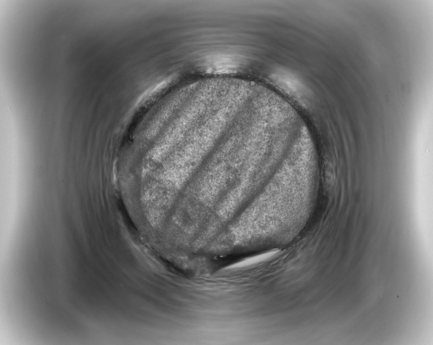 X0000084560543200703161706