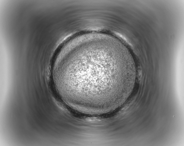 X0000084560544200703161706