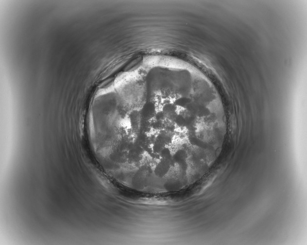 X0000084560545200703161706