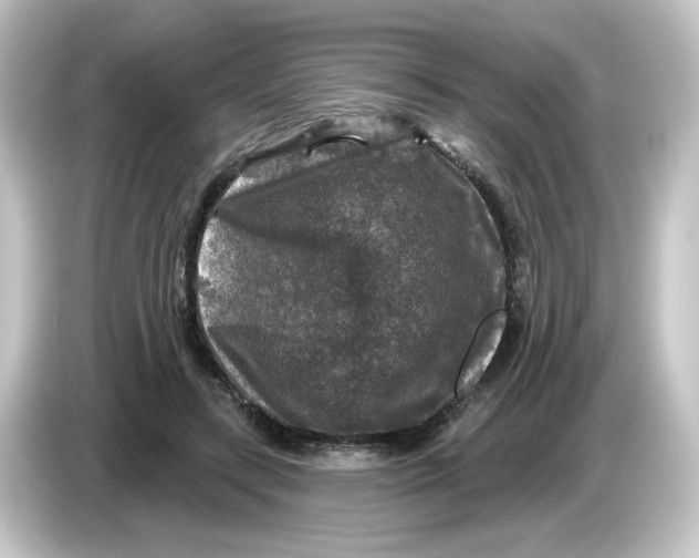 X0000084560547200703161706