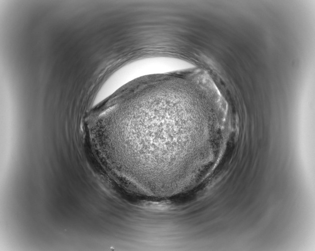 X0000084560548200703161706