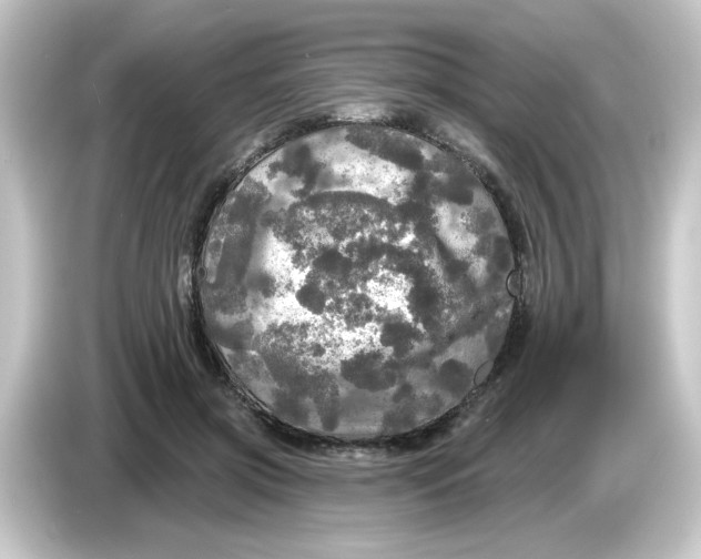 X0000084560549200703161706