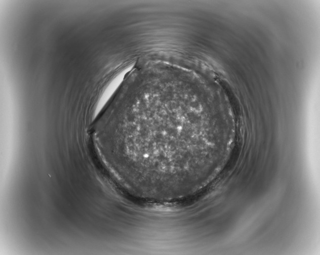 X0000084560550200703161706