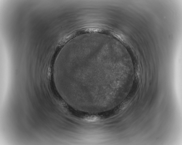 X0000084560551200703161706