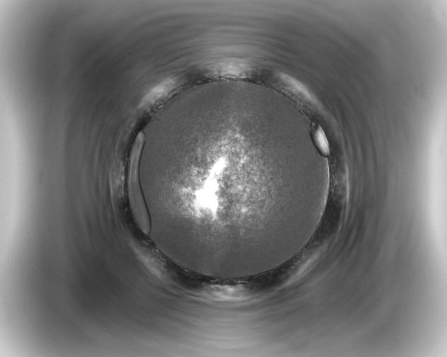 X0000084560552200703161706