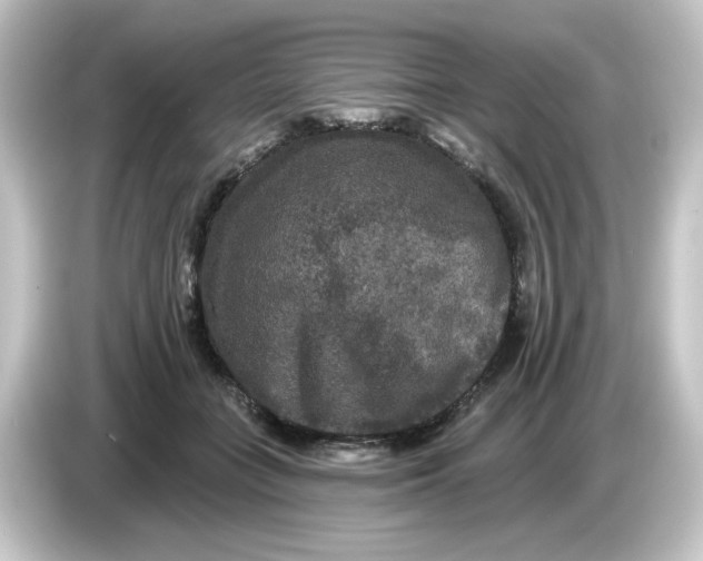 X0000084560555200703161706