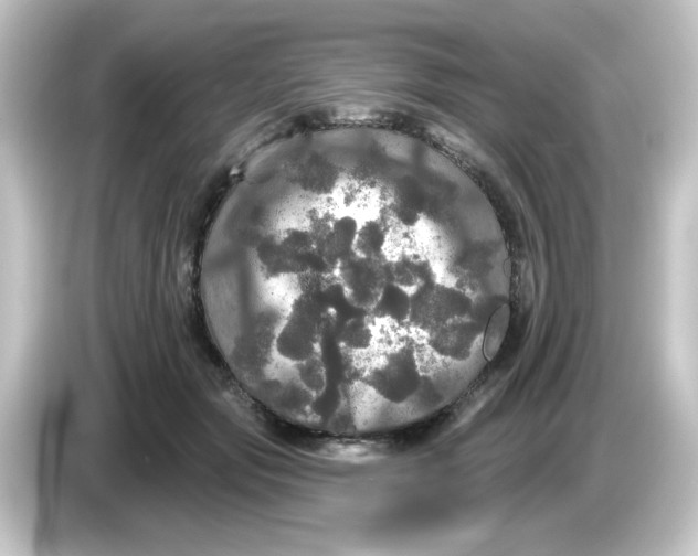 X0000084560557200703161706