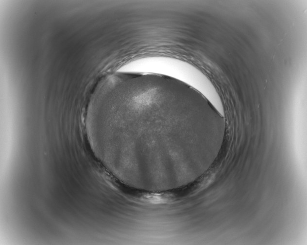 X0000084560558200703161706