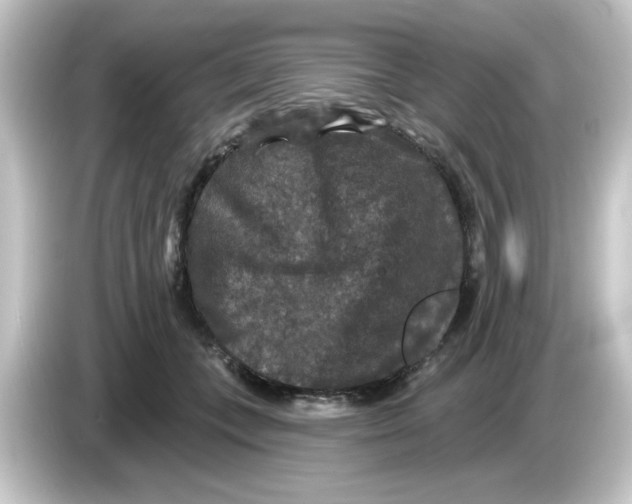 X0000084560559200703161706