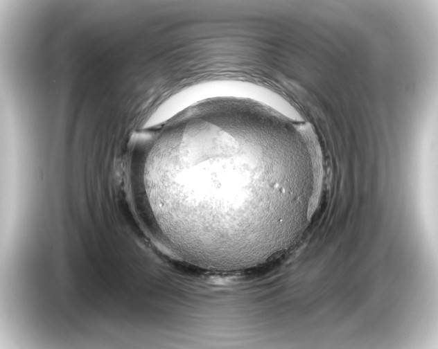 X0000084560560200703161706