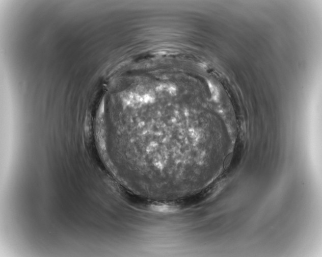 X0000084560561200703161706