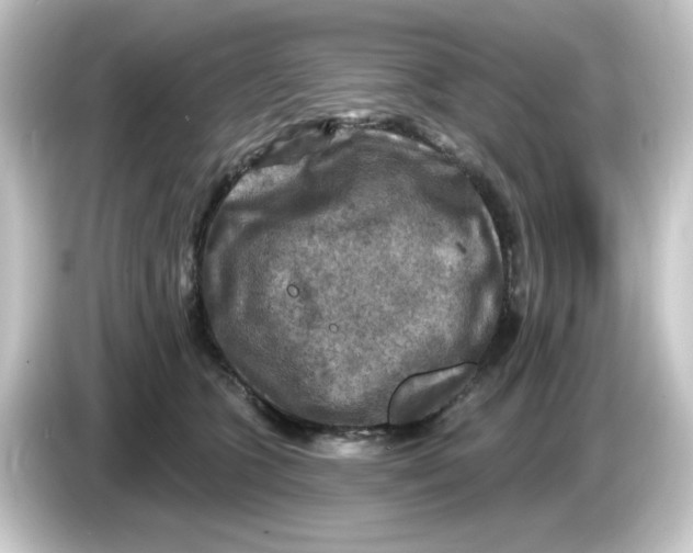 X0000084560563200703161706