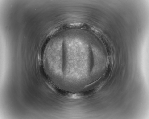 X0000084560564200703161706