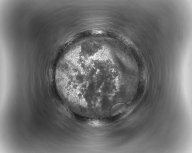 X0000084560565200703161706