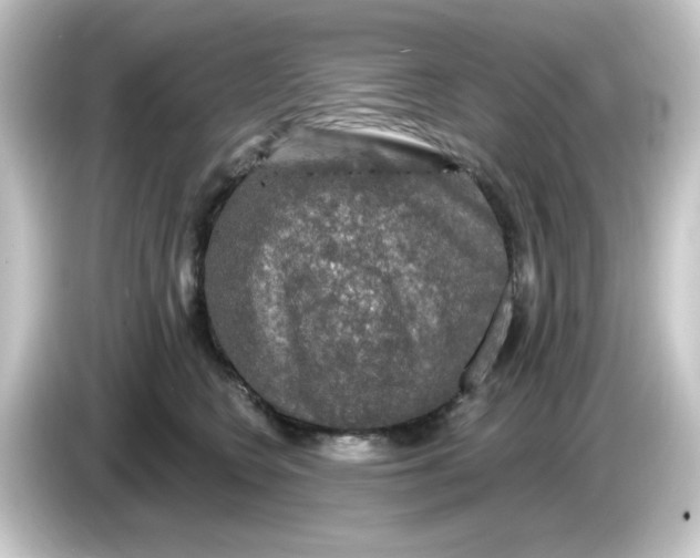 X0000084560566200703161706