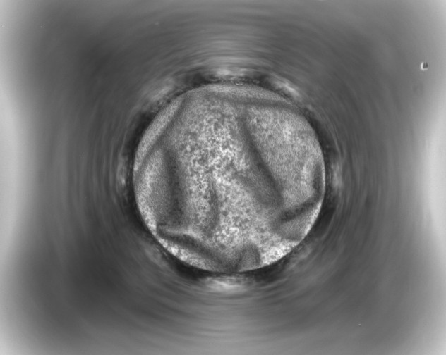 X0000084560567200703161706