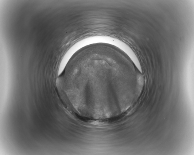 X0000084560568200703161706