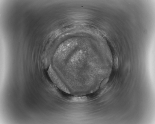 X0000084560571200703161706