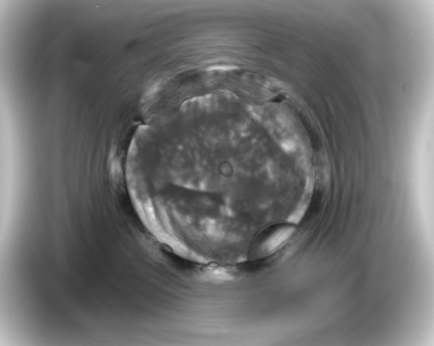 X0000084560573200703161706