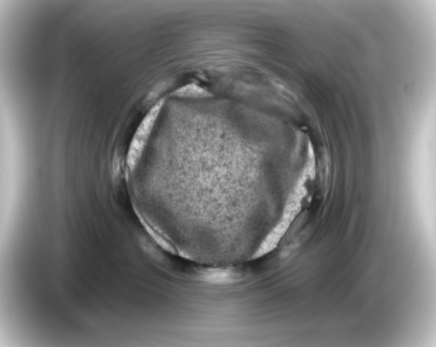 X0000084560574200703161706