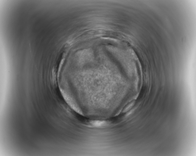 X0000084560575200703161706