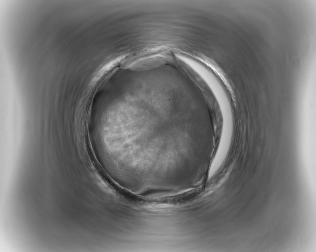 X0000084560577200703161706