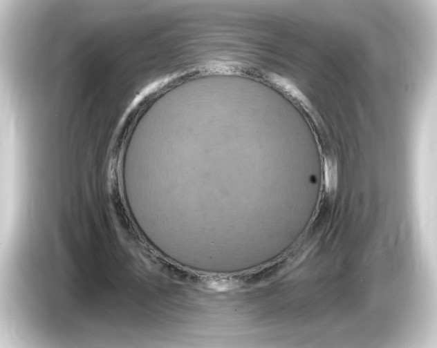 X0000084560579200703161706