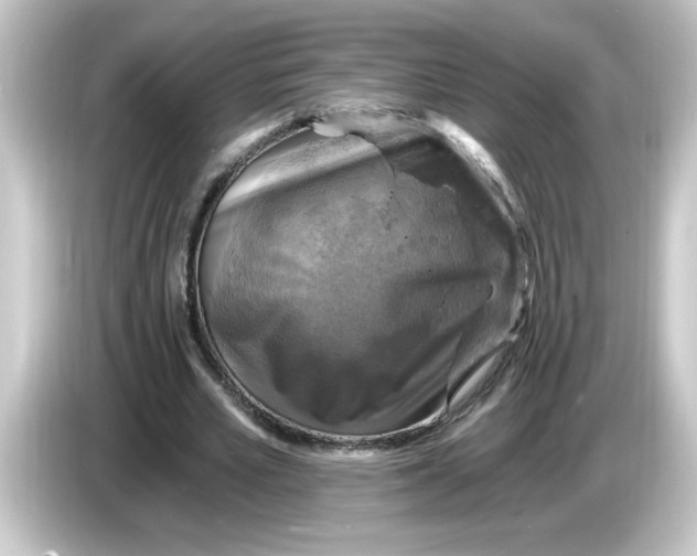 X0000084560581200703161706