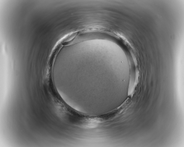 X0000084560583200703161706