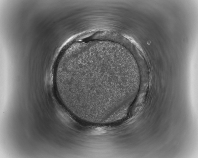 X0000084560584200703161706