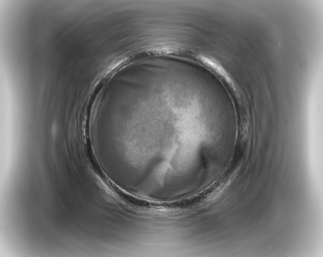 X0000084560585200703161706