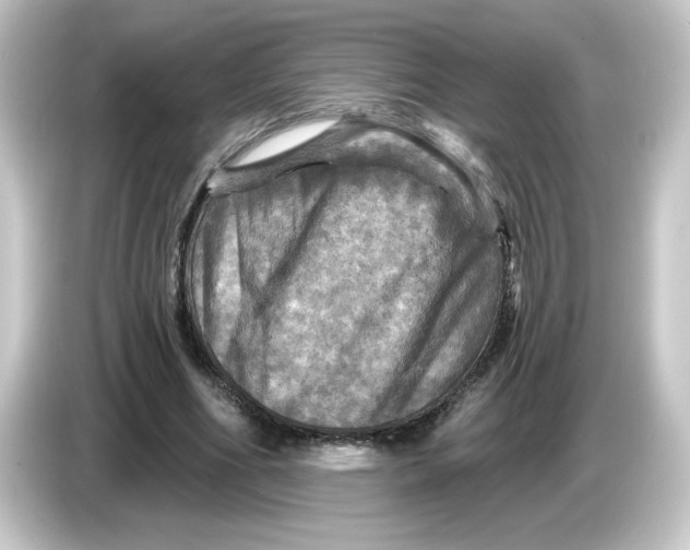 X0000084560586200703161706