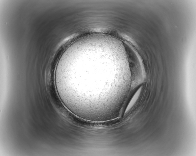 X0000084560587200703161706