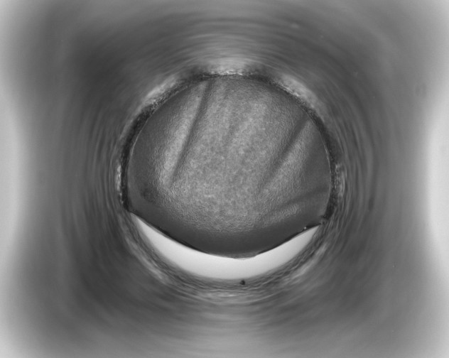 X0000084560589200703161706