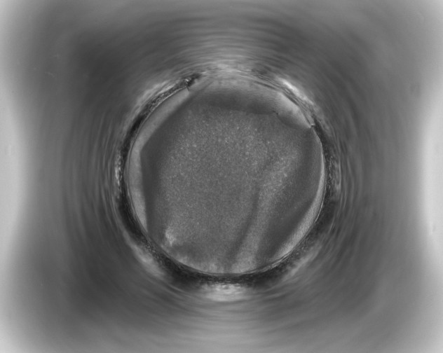 X0000084560590200703161706