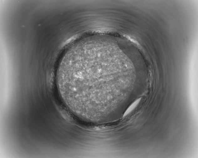 X0000084560591200703161706