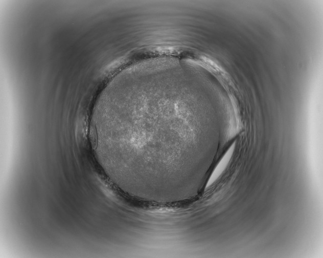 X0000084560593200703161706